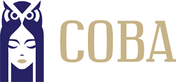 СОВА — фабрика волос